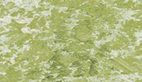Wide Greens