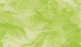 Rainforest Coat