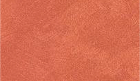 Red Carpet