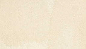 Mocha Beige