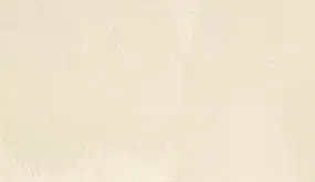 Mocha Beige