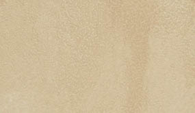 Camel Tan