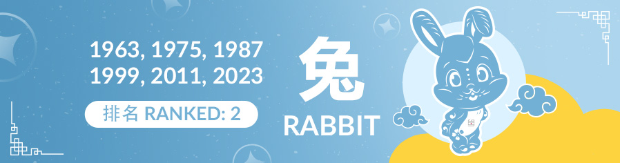 Rabbit