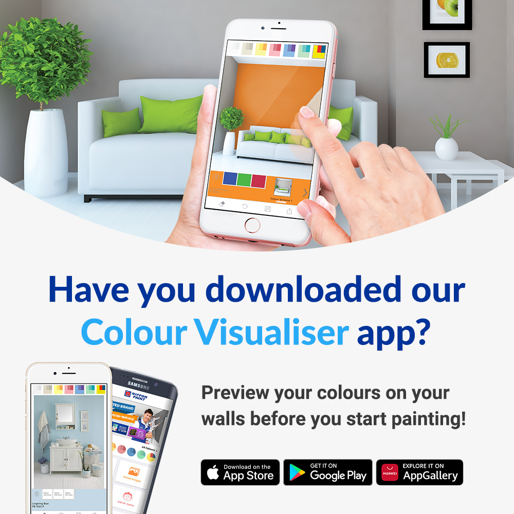 Colour Visualizer App