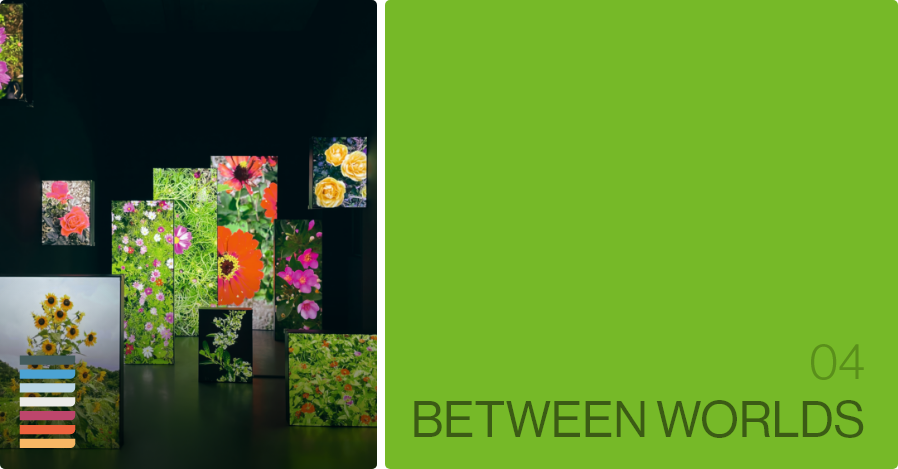 Between Worlds Banner