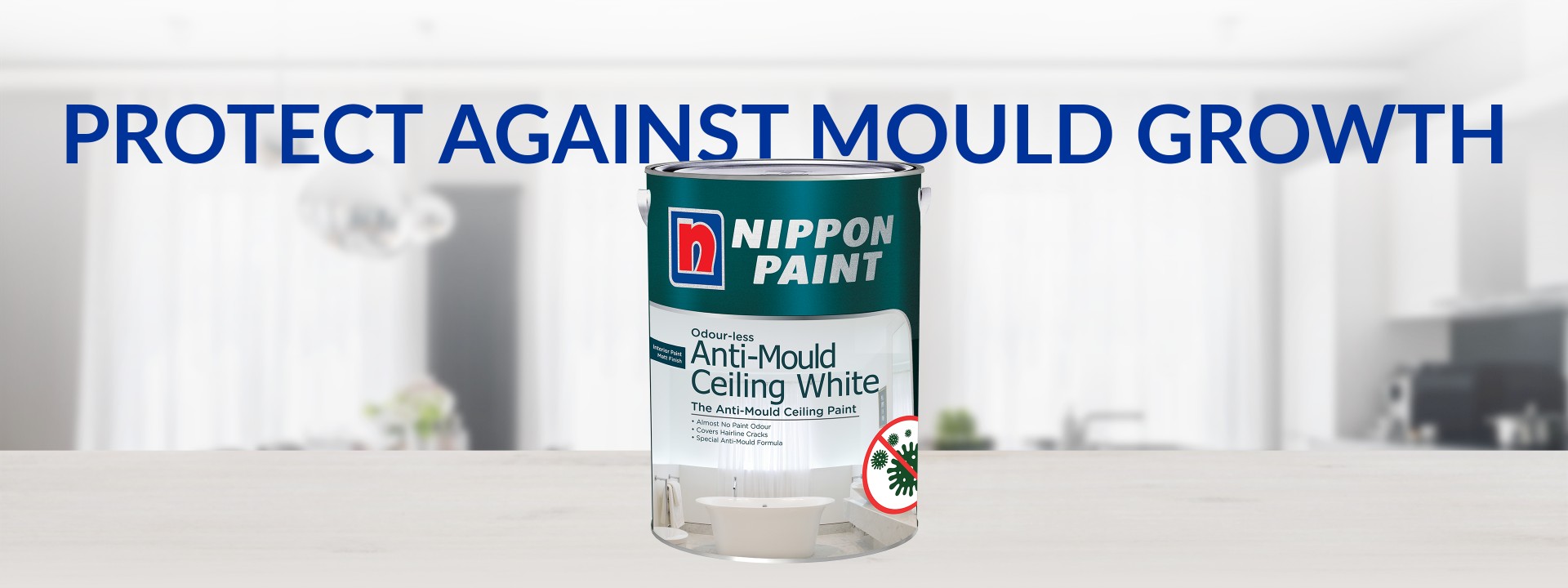 Anti Mould Spray Paint