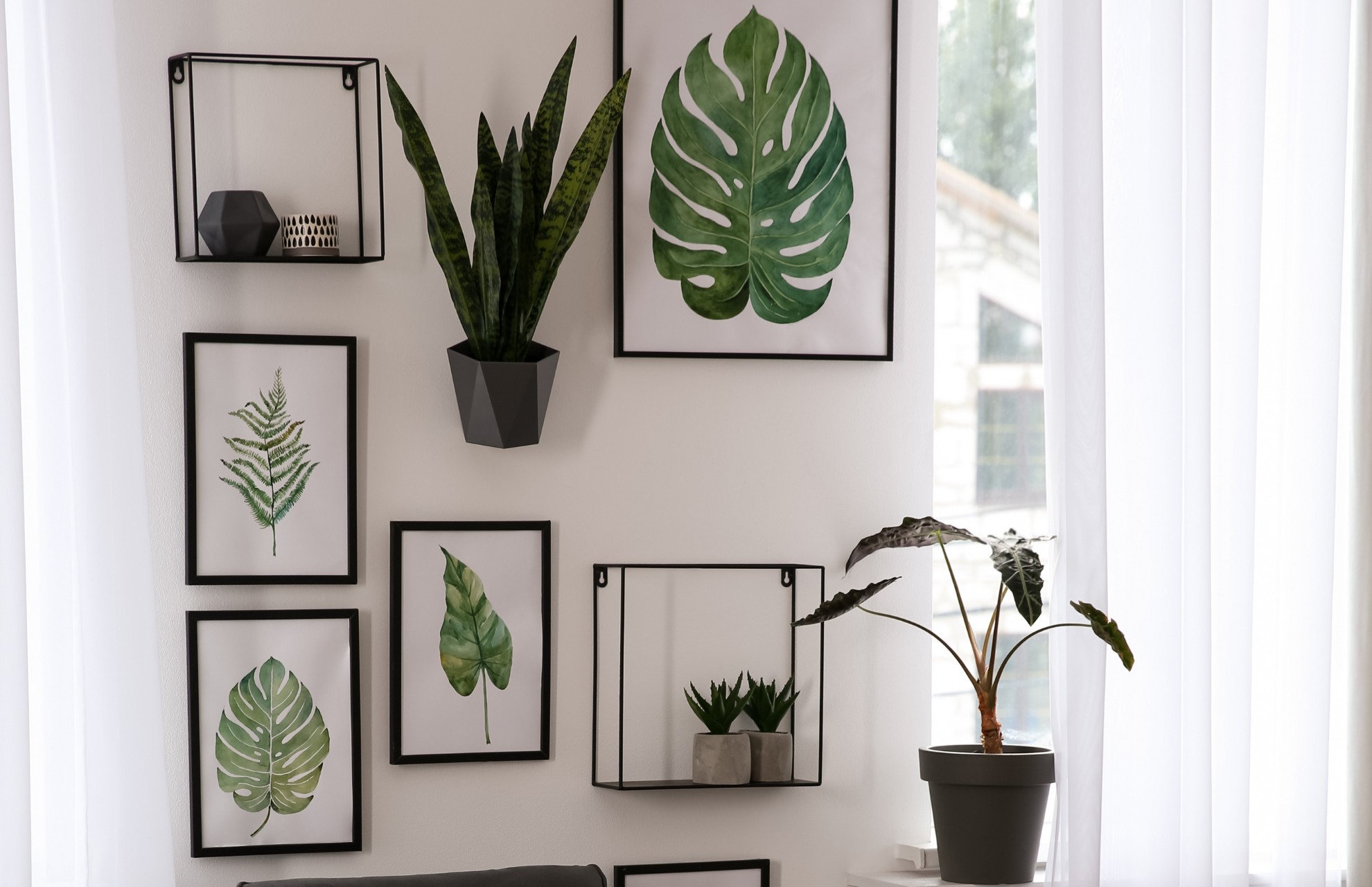 nature-inspired artwork-alongside-indoor-plants