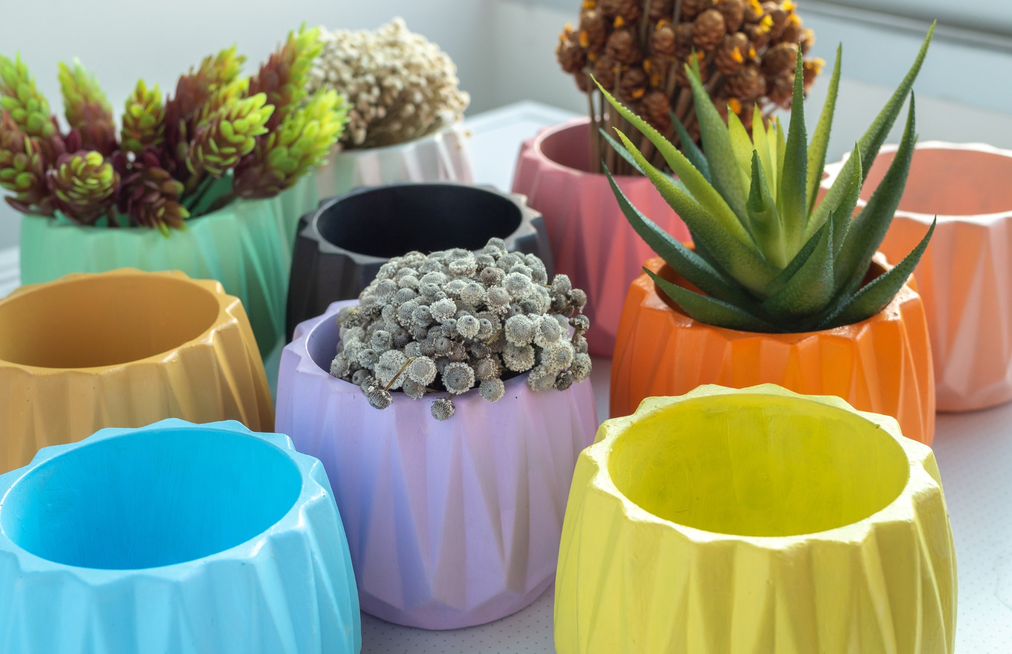 plants-in-colourful-pots