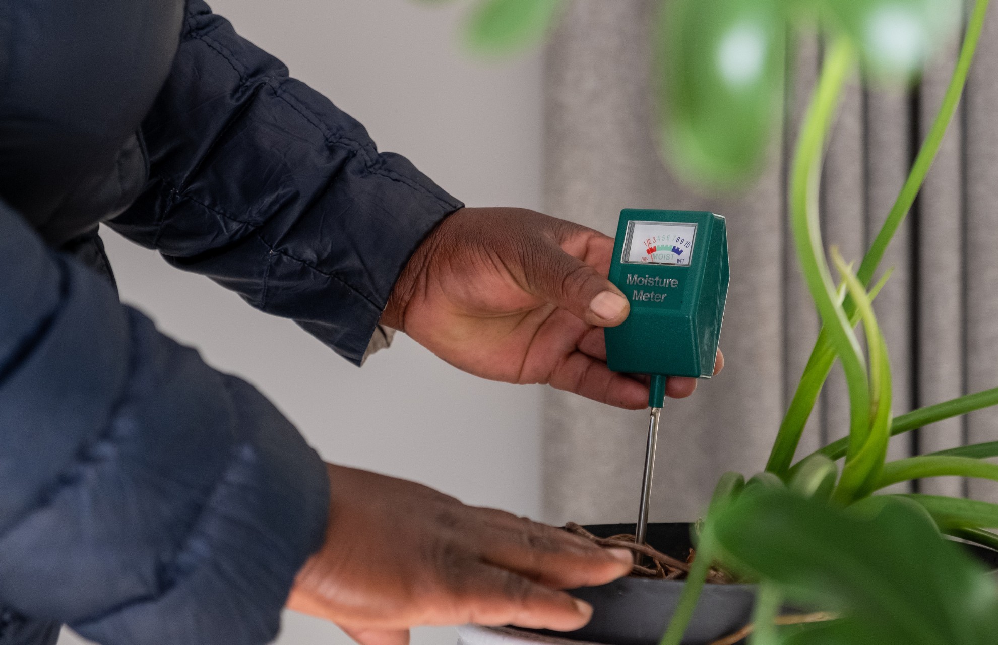 person-using-a-moisture-meter-to-check-the-soil-moisture