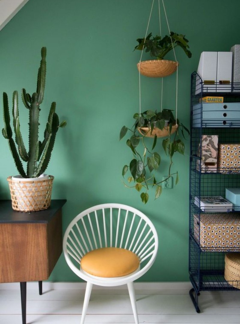 green-room-with-wooden-furniture-and-plants