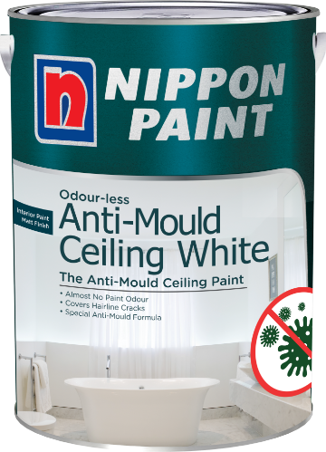 Anti Mould Spray Paint