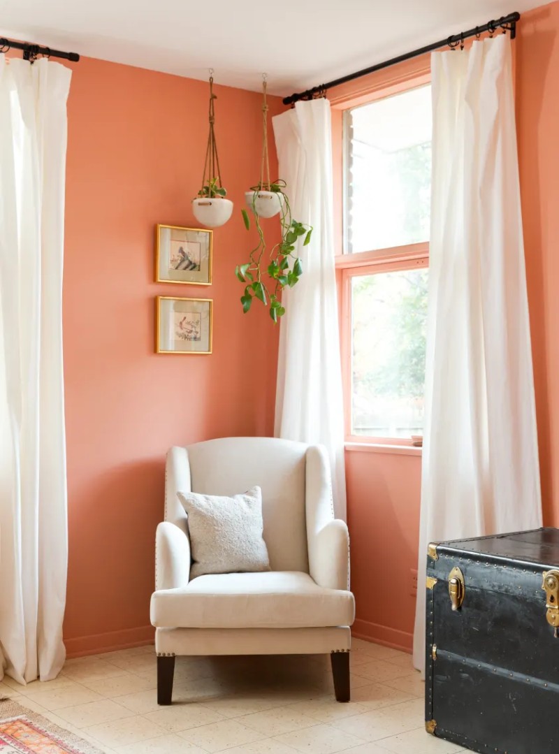 orange-house-walls-with-hanging-plants