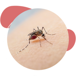 You want a convenient solution to protect you and your family against dengue and Zika