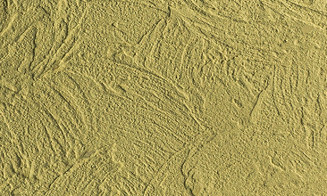 Tidal (Large)