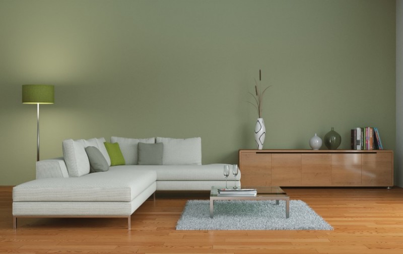 Wall Colour Combination for Living Room | DesignCafe