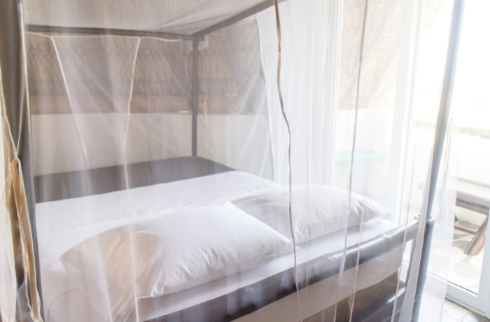 mosquito-net