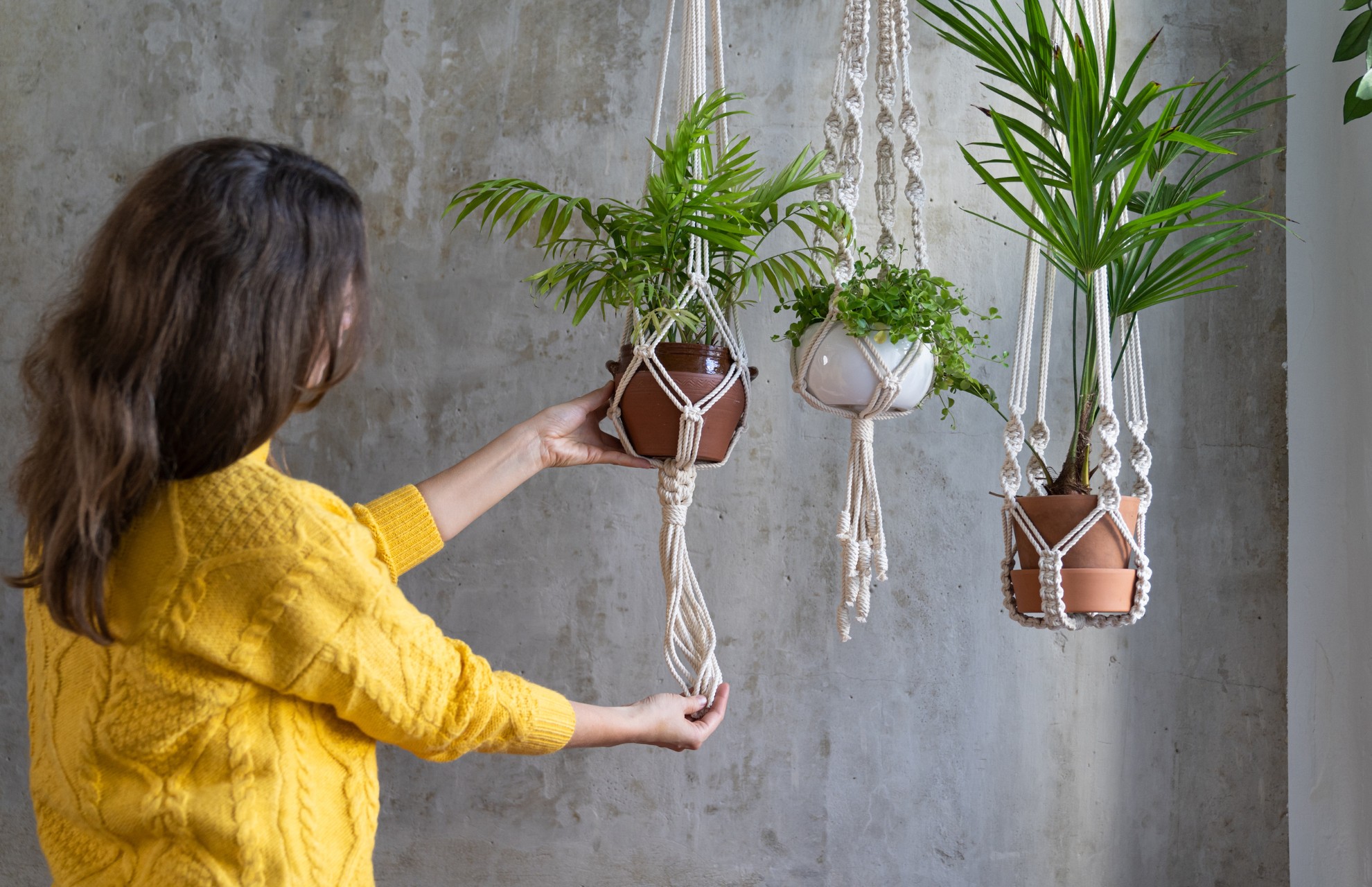 woman-hanging-planters-inside-the-house