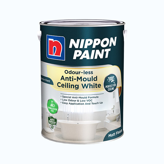 With-Every-Package-Anti-Mould