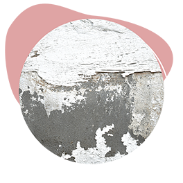 You want an exterior paint with effective protection against water ingress and environmental exposure